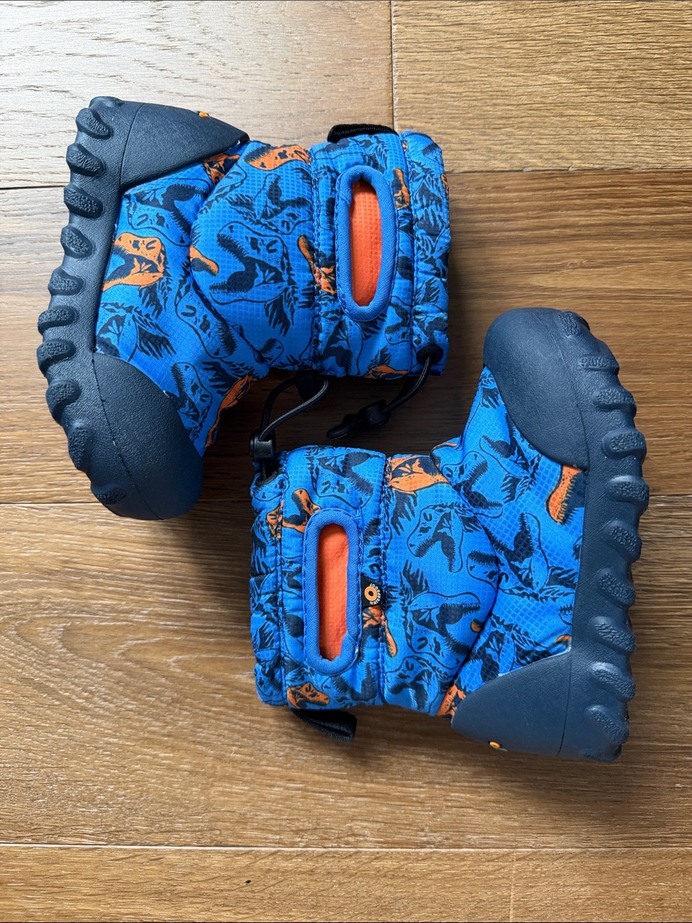 BOGS Kids Dino Snow Boots